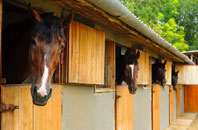 free Great Torrington stable construction quotes